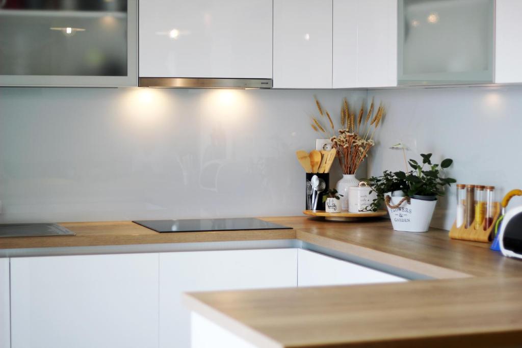 Kuchyňa alebo kuchynka v ubytovaní Apartman Cicibella