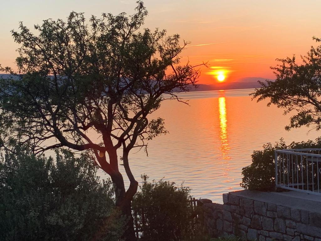 a tree in front of the water with a sunset at Apartment Marino in Senj