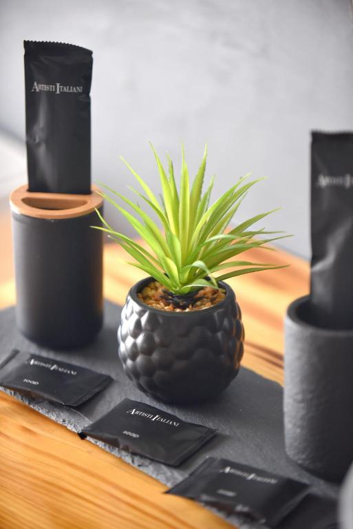 a plant in a black pot sitting on a table at Tramuntana in Ano Syros