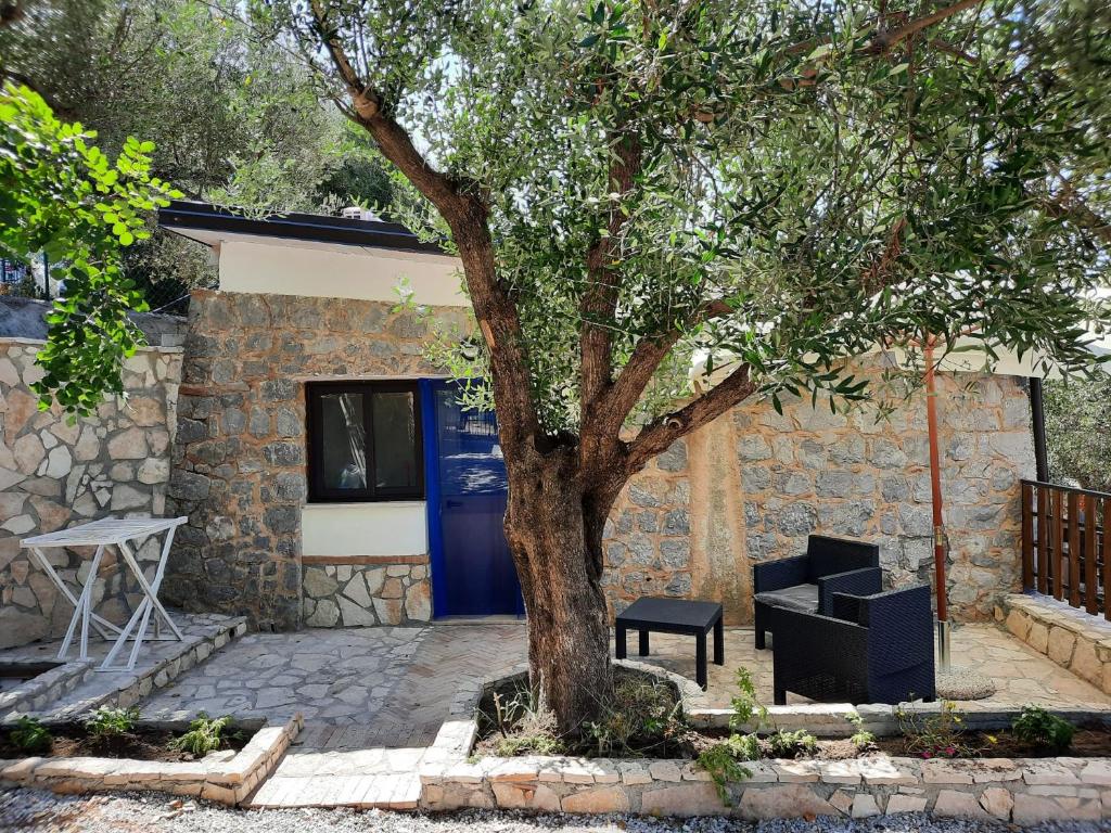 a tree in front of a house with a blue door at Villetta del Poggio in Marina di Camerota