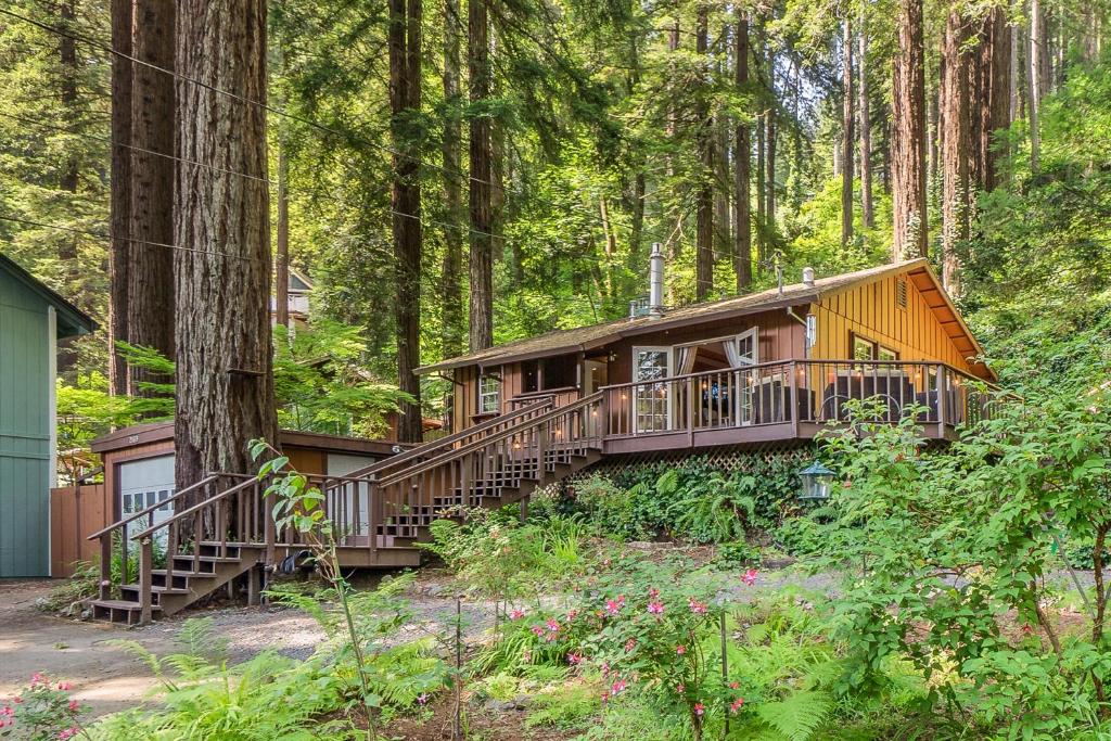 Monte Rio的住宿－Redwood Paradise，树林中的一个小屋,有一棵大树