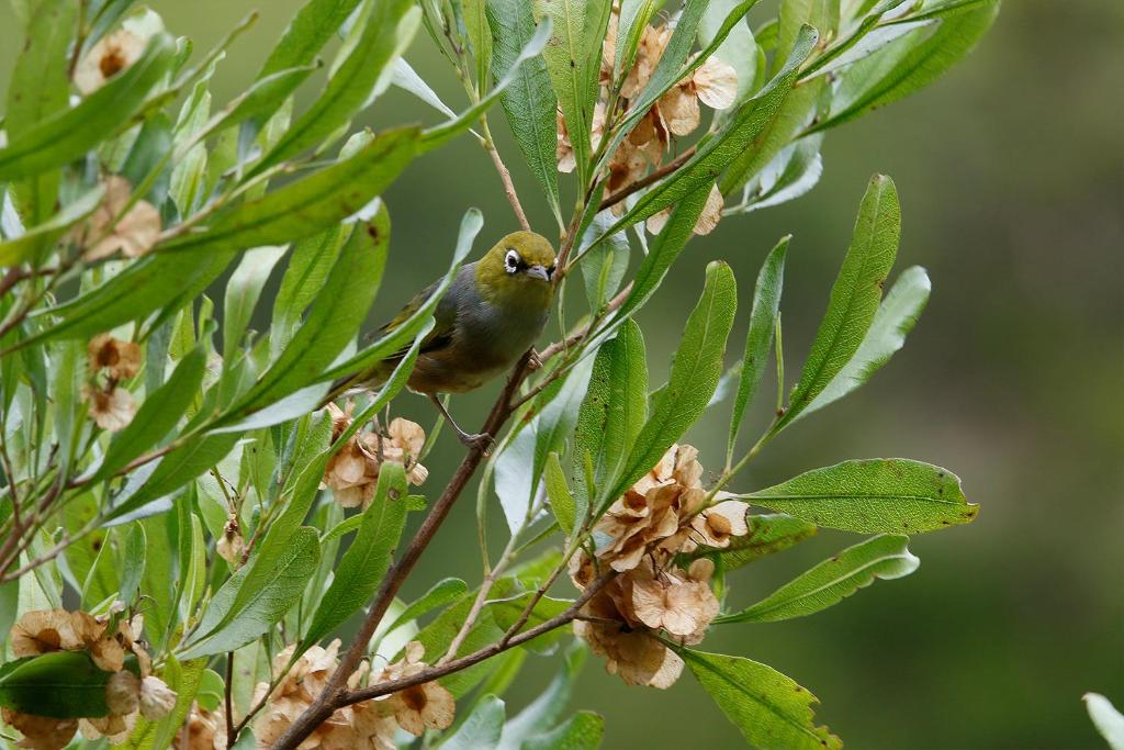 Country Retreats on Ranzau 3 - Resim 21