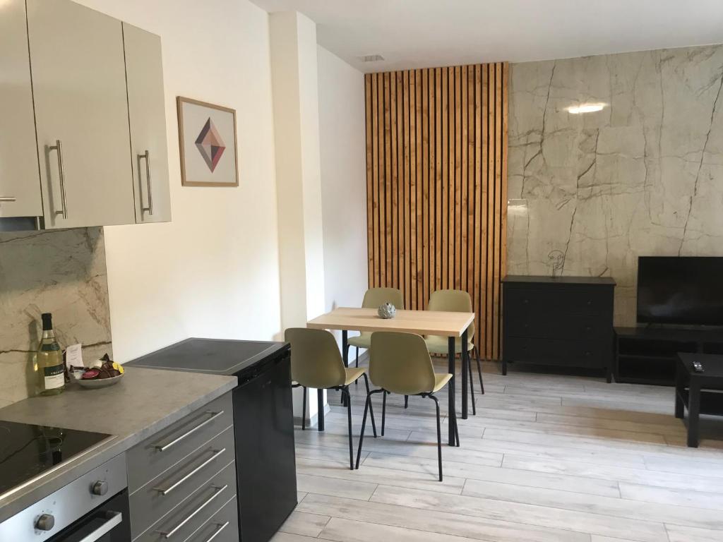 Kuchyň nebo kuchyňský kout v ubytování Boutique Apartments Liberec