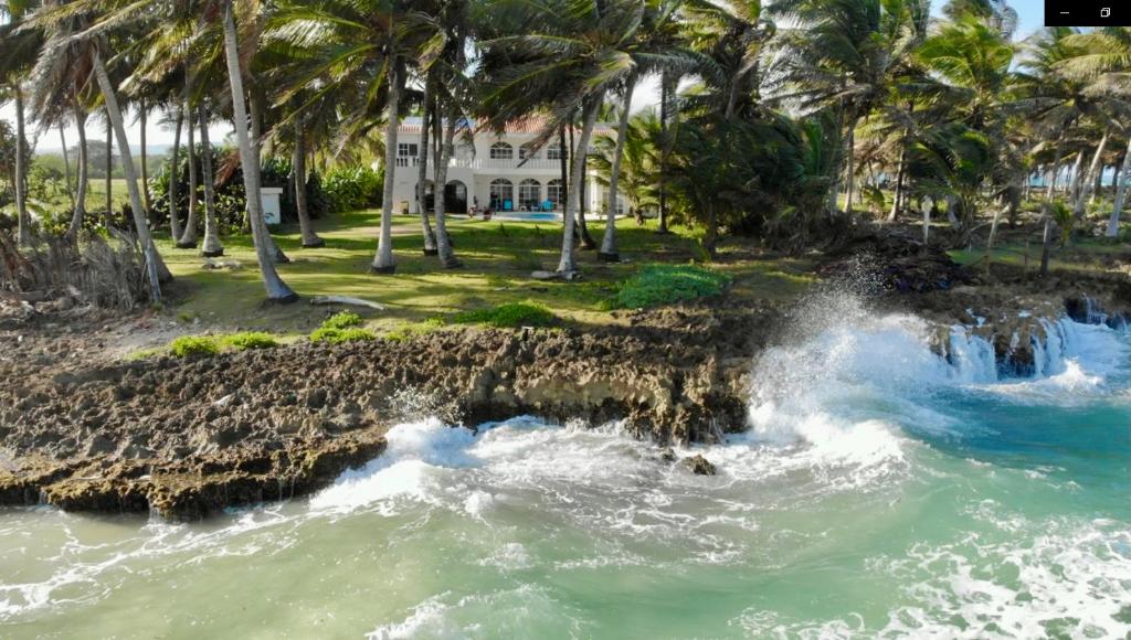 une maison avec des palmiers et des vagues dans l'eau dans l'établissement Baoba Breeze Bed & Breakfast- beachfront paradise, à Cabrera