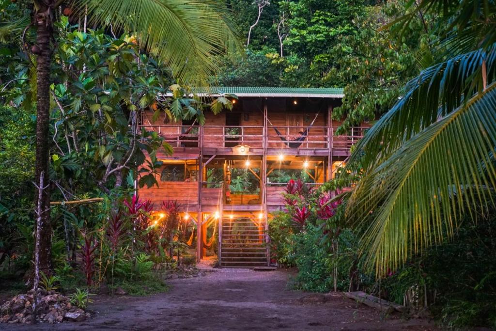 a house in the middle of a forest with lights at The Pelican House Hostel in El Valle