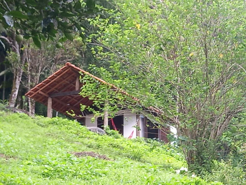 Zahrada ubytování Chalé Floresta Toca da Serra