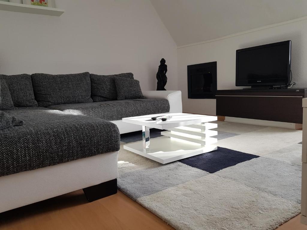 a living room with a couch and a coffee table at Apartment am Südpark Erfurt in Erfurt