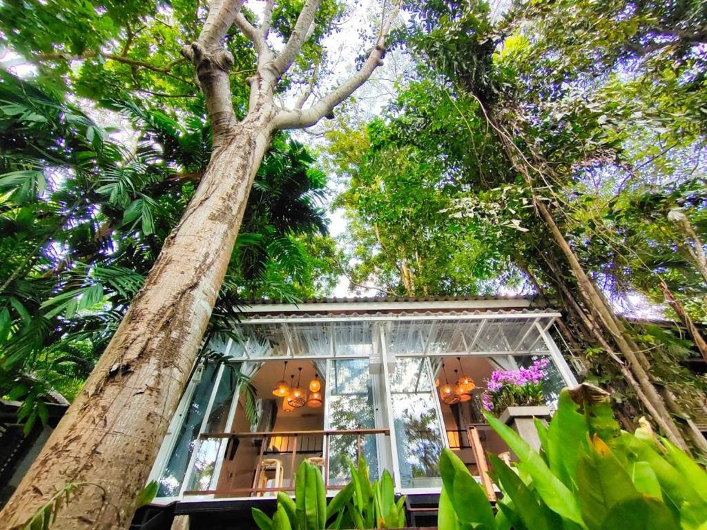 uma casa na floresta com uma grande árvore em Rain Forest Resort em Ban Pak Yang