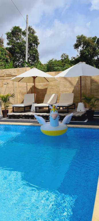 a swimming pool with a toy in the middle at HOME VILLA in Buleleng