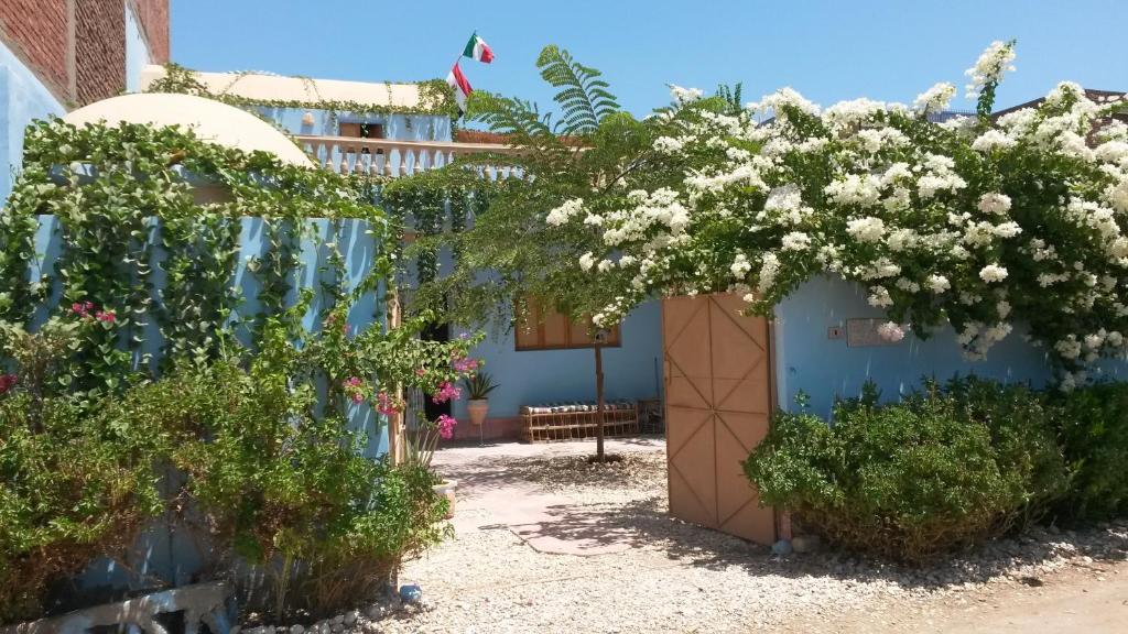 a blue building with a bunch of white flowers at Villa Diletta Luxor in Luxor