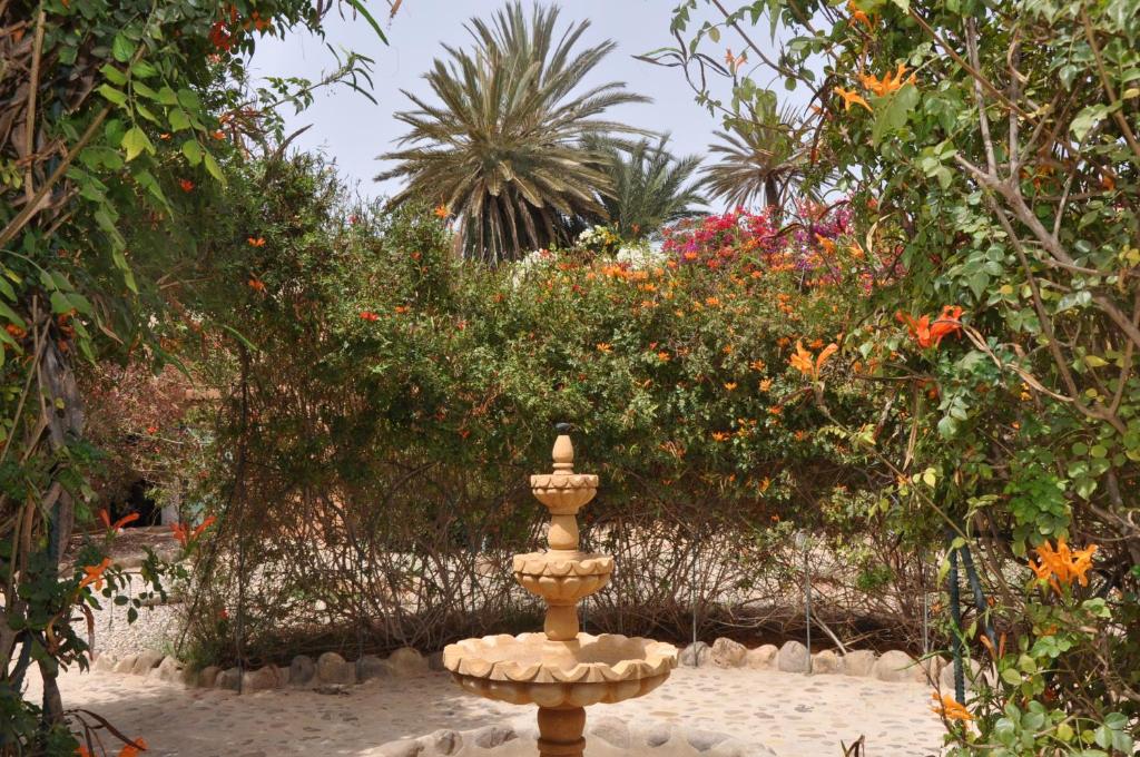una fuente en medio de un jardín con flores en La Palmeraie De Massa, en Zaouit Massa