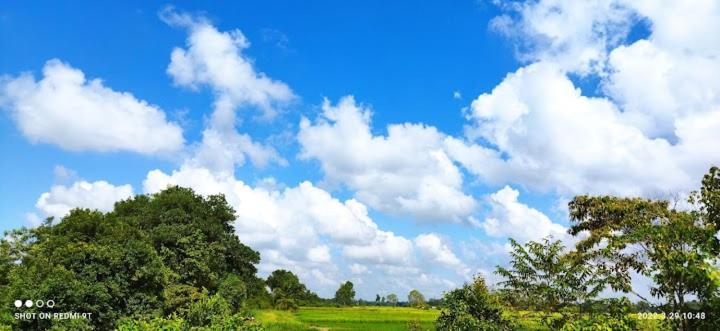 a green field with trees and a cloudy sky at Qayyum Homestay Pauh Lima,Bachok,Kelantan in Bachok