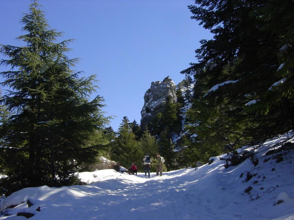 a group of people skiing down a snow covered trail at Casa La Palma in Chefchaouene