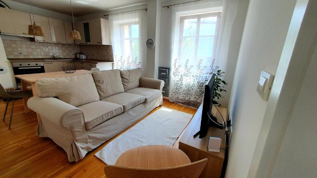 Il comprend un salon avec un canapé et une cuisine. dans l'établissement Apartma Bovec Center, à Bovec