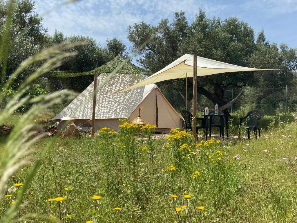 a tent and a table in a field at Bellissima Bell tent in Tortosa