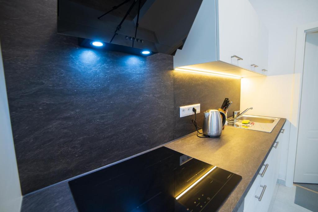 Kuchyň nebo kuchyňský kout v ubytování Top class apartments in Carlsbad