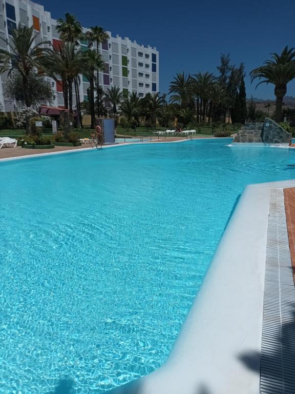 uma grande piscina com água azul e palmeiras em DAC HOME AGAETE PARQUE em Playa del Inglés
