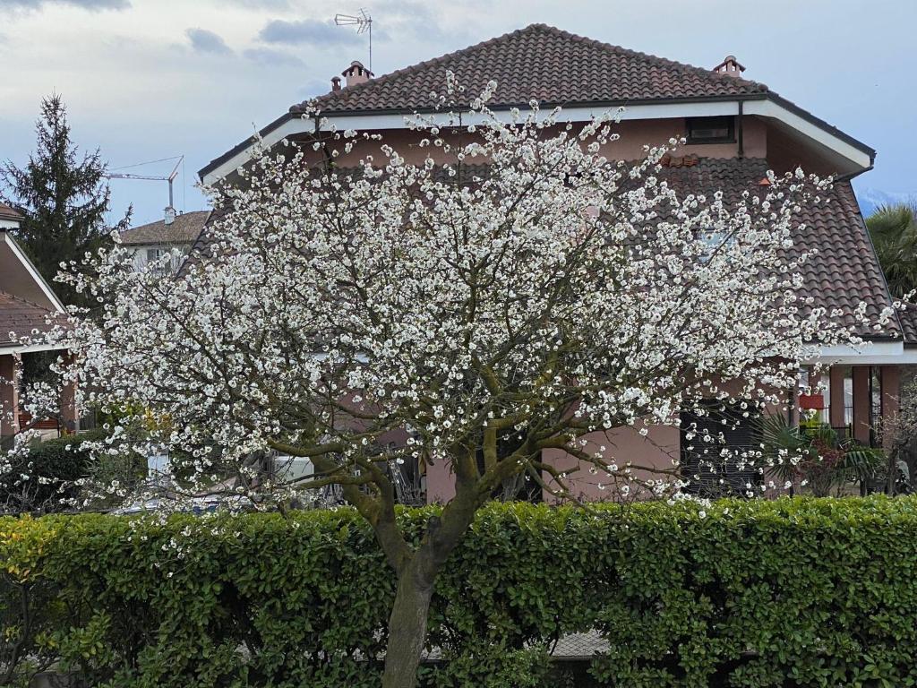 Vonkajšia záhrada v ubytovaní Il Ciliegio Relax & Wellness