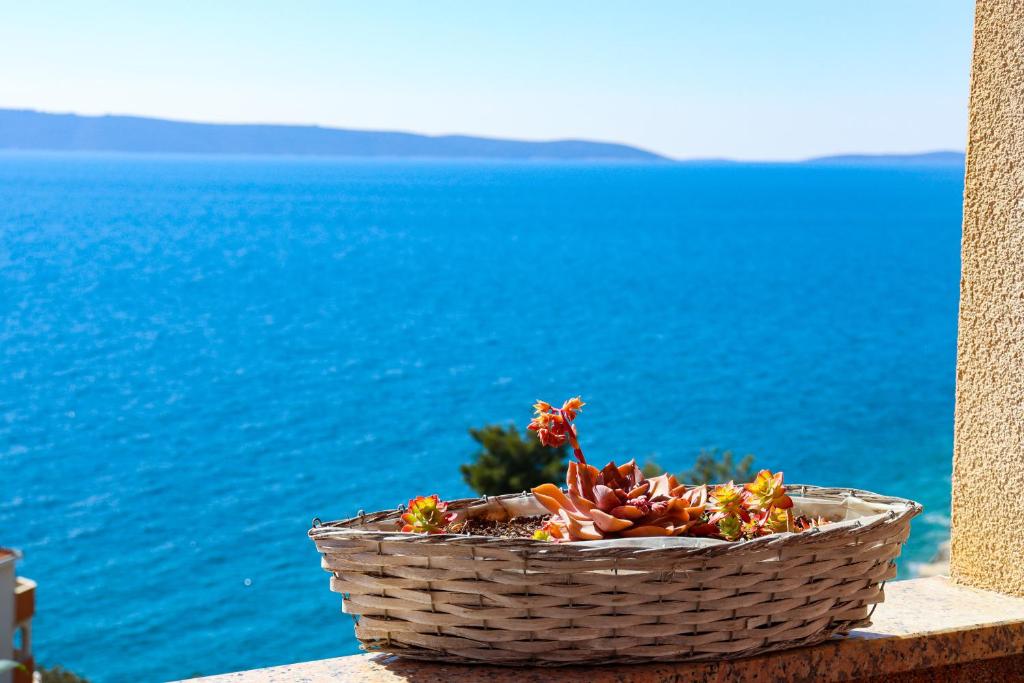 Villa Kovačević - 19