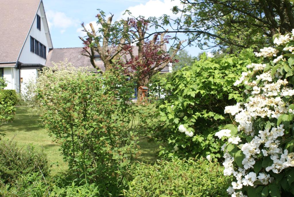 a garden with white flowers in front of a house at Chambre single in Nadrin