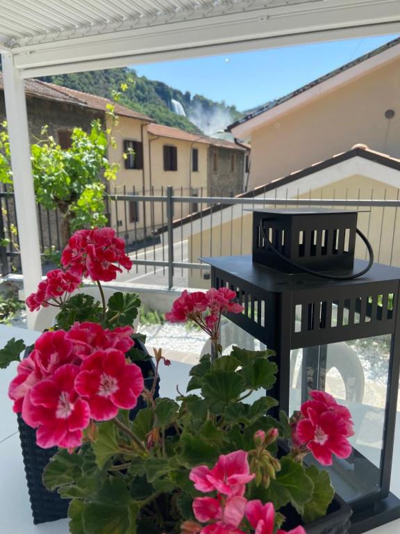 een balkon met roze bloemen in een pot bij Marmore Charming House in Terni