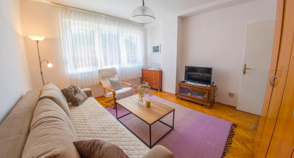 sala de estar con sofá y mesa en Apartment Revia, en Mostar