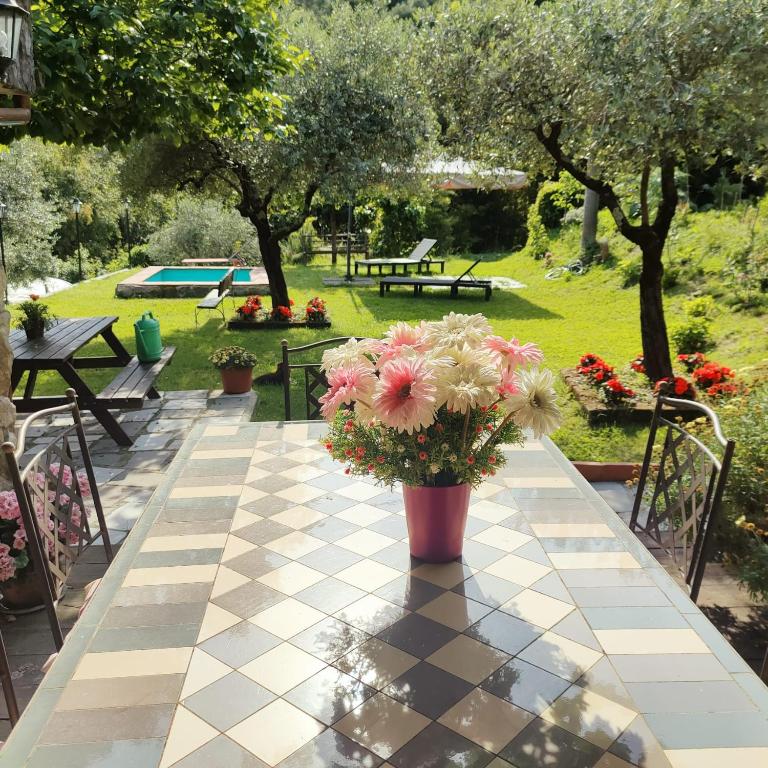 a vase of flowers sitting on a table in a park at La Nicchia di Franco in Montignoso