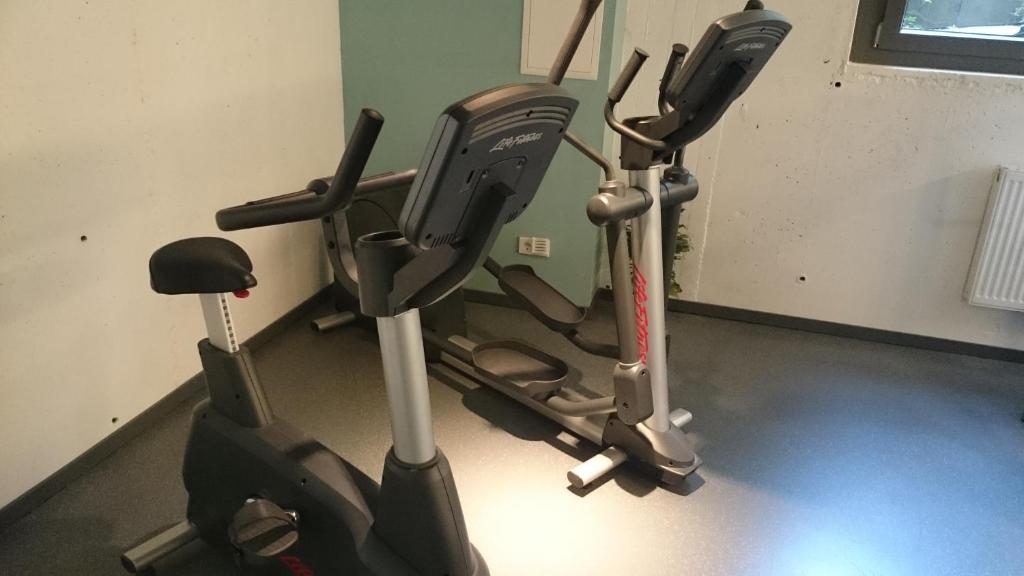 Fitness centrum a/nebo fitness zařízení v ubytování Das Eckert - Lifestyle Design Hotel & Fine Dining bei Basel (Grenzach)