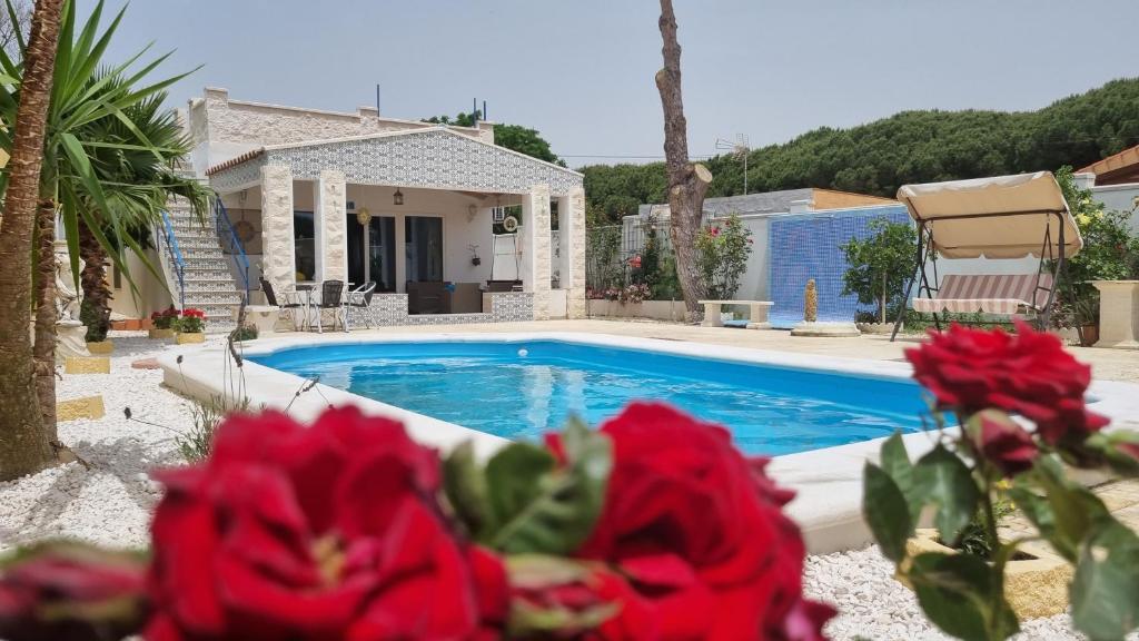 una casa con una piscina con flores rojas en el primer plano en Casa Blanca, en Chiclana de la Frontera