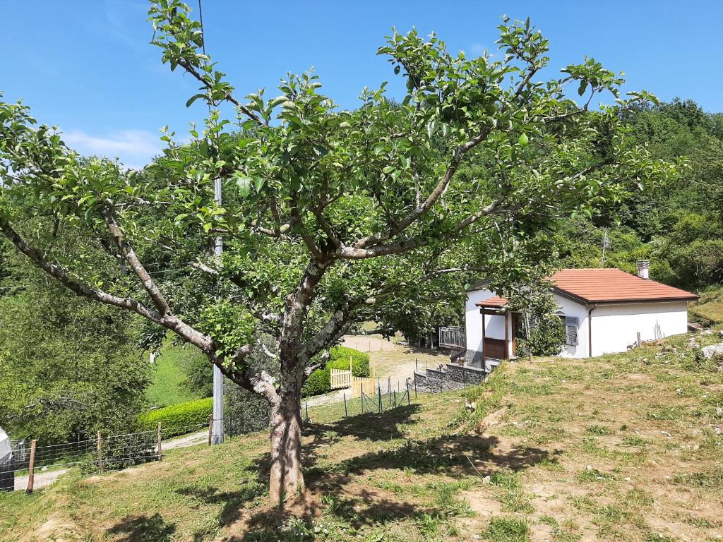 La casetta di Bianca