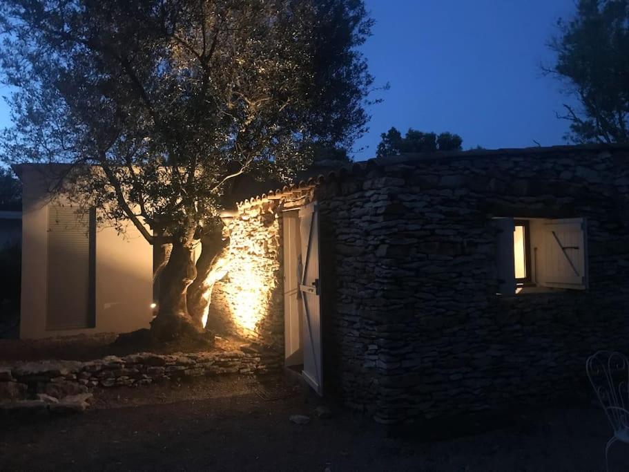 un bâtiment avec un arbre devant lui la nuit dans l'établissement Petite Bergerie, à Bonifacio