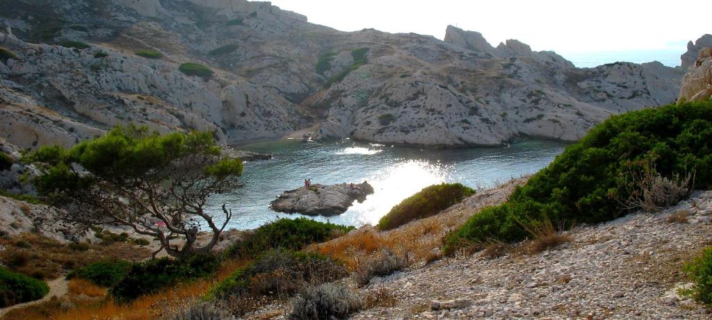 Fotografia z galérie ubytovania Les pieds dans l'eau sur l'Ile du Frioul v destinácii Marseille