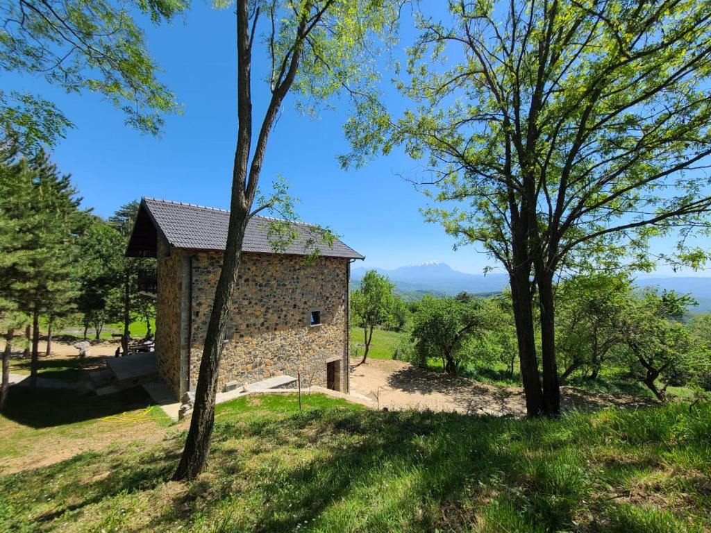 Příroda nedaleko apartmánu