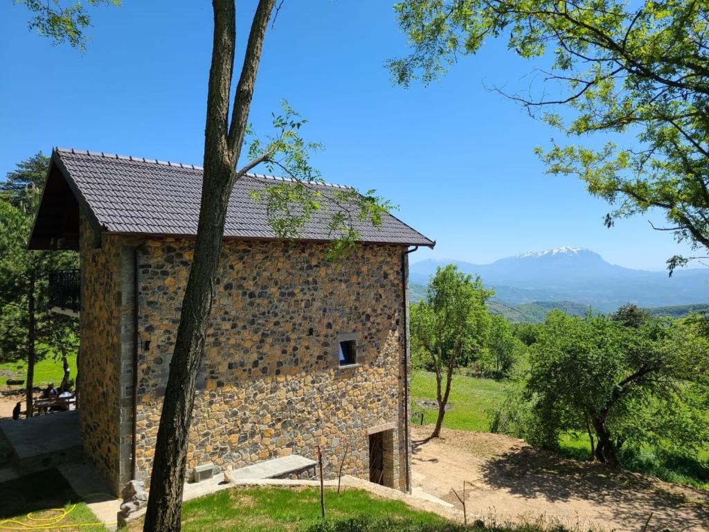 Příroda nedaleko apartmánu