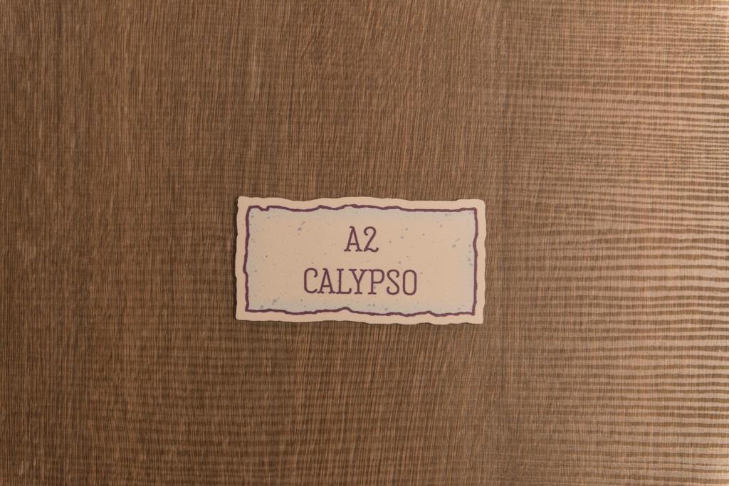 a label on the side of a door with the name ak calysso at Le Dimore di Puglia - Palazzo Ladogana in Monopoli