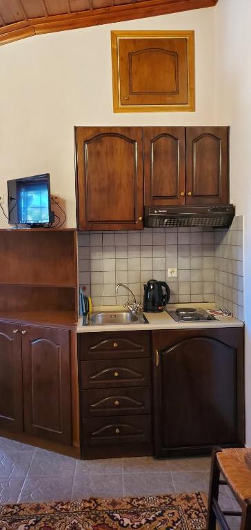 Kuchyň nebo kuchyňský kout v ubytování Papigo Astraka II