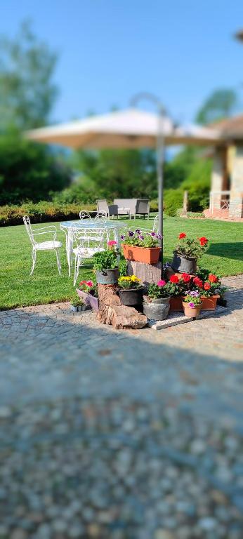 Zahrada ubytování B&B Villa Claudia
