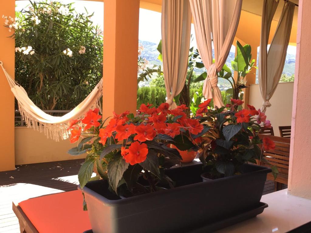 Vonkajšia záhrada v ubytovaní Denia Deluxe Chillout Experience