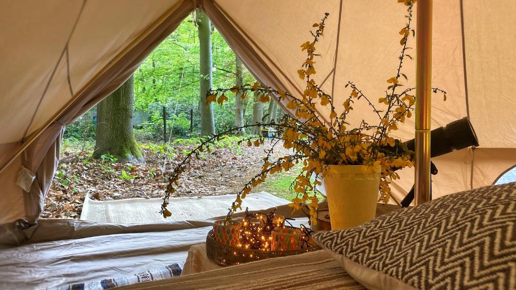 a tent with lights and a vase with a plant at SENSI - 'FIRE' Restaurant and Glamping in Oostkamp