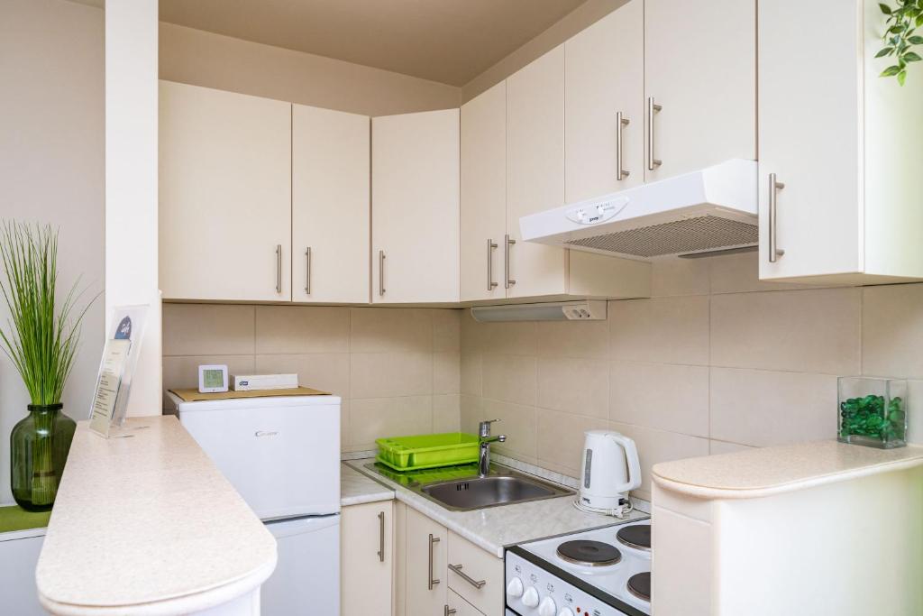 Kuchyň nebo kuchyňský kout v ubytování Apartment Bakus