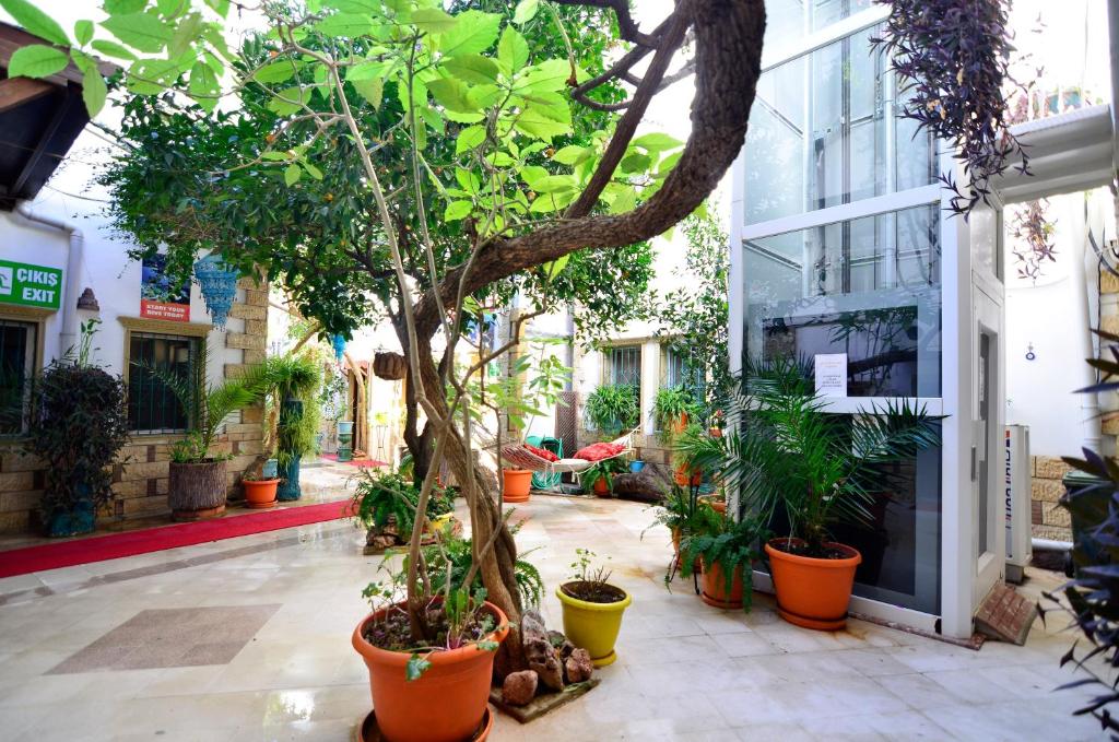 Zahrada ubytování Sevin Hotel Pension