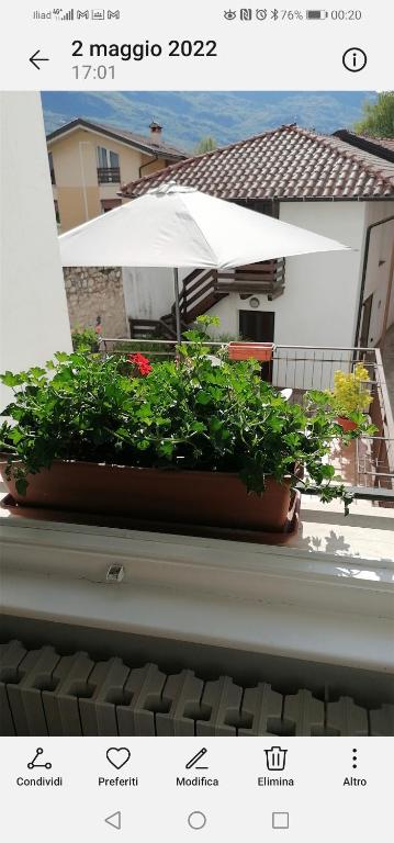 Budova, v ktorej sa ubytovanie bed & breakfast nachádza