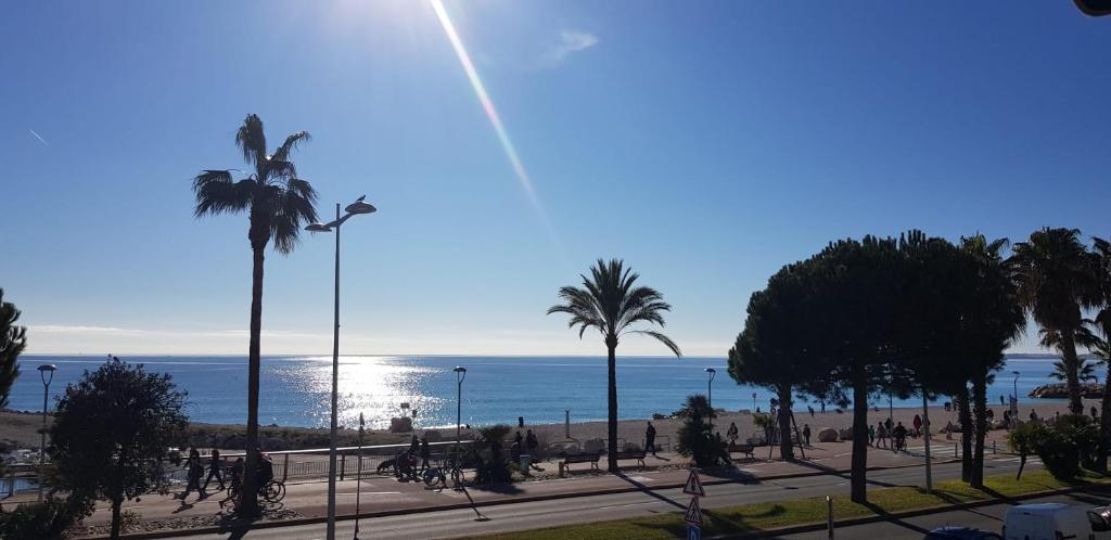 a view of a beach with palm trees and the ocean at Front de mer,plage, piscine, parking in Cagnes-sur-Mer