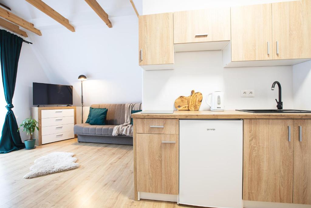 Kuchyňa alebo kuchynka v ubytovaní Apartamenty u Nosa