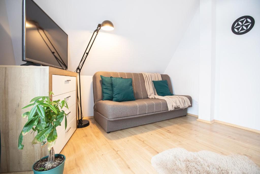Televízia a/alebo spoločenská miestnosť v ubytovaní Apartamenty u Nosa