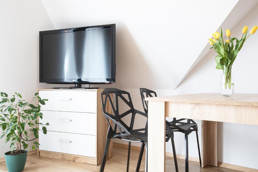 Televízia a/alebo spoločenská miestnosť v ubytovaní Apartamenty u Nosa