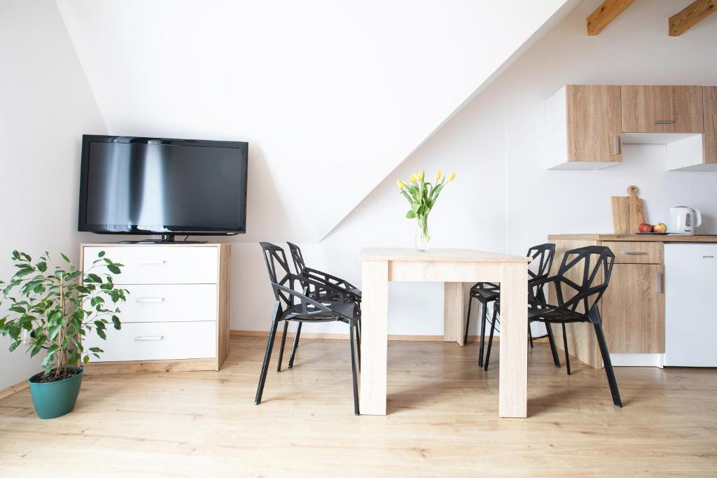 Televízia a/alebo spoločenská miestnosť v ubytovaní Apartamenty u Nosa