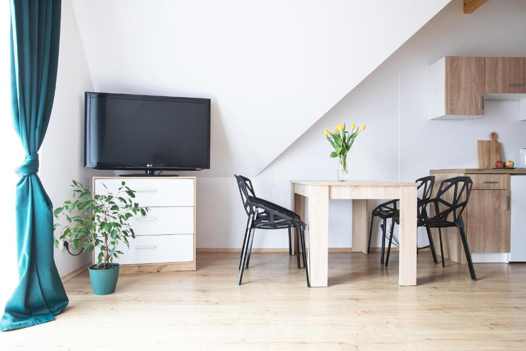 Televízia a/alebo spoločenská miestnosť v ubytovaní Apartamenty u Nosa