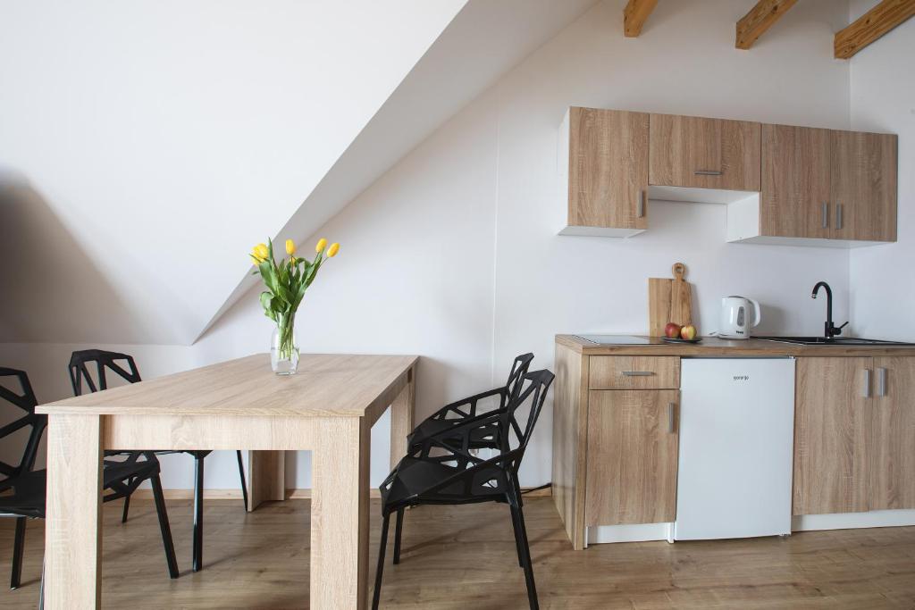 Kuchyňa alebo kuchynka v ubytovaní Apartamenty u Nosa