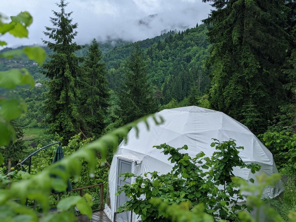 Příroda nedaleko luxury tent